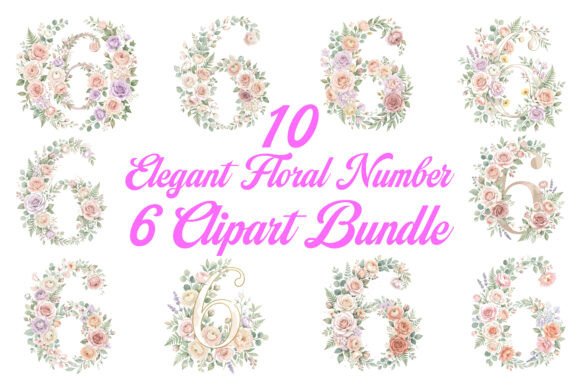 Elegant Floral Number 6 Clipart Bundle – Graphics & Illustrations for Milestone Merch